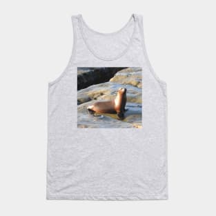 Young California Sea Lion, Marine Life, Wildlife, Nature Tank Top